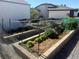 Raised garden beds surrounded by gravel featuring netted vegetable plants at 3031 Pebble Beach Ave, Pahrump, NV 89048