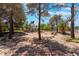 Landscaped backyard with mature trees and a rustic bench. Home in the background at 4530 W Shelbourne Ave, Las Vegas, NV 89139