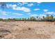 Large vacant backyard with desert landscaping under a blue sky at 4530 W Shelbourne Ave, Las Vegas, NV 89139