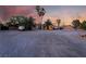 Single-story home featuring desert landscaping, mature palm trees, and a large driveway at 4530 W Shelbourne Ave, Las Vegas, NV 89139