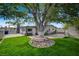 Charming home with a manicured lawn, mature shade tree, and convenient front driveway at 700 Cactus Ln, Las Vegas, NV 89107