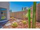 Secluded backyard featuring desert landscaping with cacti and pavers at 8175 Caldera Creek St, Las Vegas, NV 89113