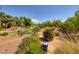 A lush desert landscaped backyard with desert plants and a walking path is ready for entertaining and relaxation at 8290 Gagnier Blvd, Las Vegas, NV 89113