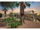 The spacious backyard features a covered patio, mature trees, and desert landscaping, perfect for relaxation at 8813 Sundial Dr, Las Vegas, NV 89134
