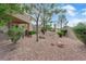 Beautiful low maintenance backyard featuring desert landscaping, mature trees, and a covered patio area at 9424 Gold Mountain Dr, Las Vegas, NV 89134