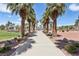 Picturesque walking path lined with majestic palm trees and landscaped greenery for serene strolls at 4753 Carefree Dr, Las Vegas, NV 89122