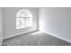 Bedroom featuring new carpet, neutral paint, and a large window at 849 Brahma Ln, Henderson, NV 89002