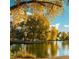 Beautiful pond view framed by golden autumn foliage, creating a cozy and inviting natural retreat at 8808 Homestead Rd, Las Vegas, NV 89143