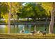 Tranquil pond scene with waterfowl enjoying the grassy bank, showcasing the property's natural beauty at 8808 Homestead Rd, Las Vegas, NV 89143