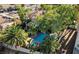 Aerial view of the backyard featuring a sparkling pool, lush landscaping, and mature palm trees at 902 Cripple Creek Ct, Henderson, NV 89014