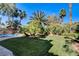 Expansive backyard featuring lush green lawn, mature palm trees, and a sparkling swimming pool at 902 Cripple Creek Ct, Henderson, NV 89014