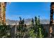 Mountain view past backyard, tall palm trees provide natural background, lush green bushes line backyard wall at 902 Cripple Creek Ct, Henderson, NV 89014
