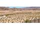 View of the arid desert landscape and mountains beyond the fence at 12295 Skyracer Dr, Las Vegas, NV 89138