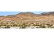 View of the arid desert landscape and mountains at 12295 Skyracer Dr, Las Vegas, NV 89138