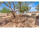 Beautiful backyard featuring custom seating, stone accents, a mature tree, and covered pergola at 1795 Nuevo Rd, Henderson, NV 89014