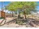 Secluded backyard featuring an outdoor stone fireplace, mature trees, and custom hardscaping at 1795 Nuevo Rd, Henderson, NV 89014