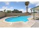 A private in-ground swimming pool in a backyard oasis with manicured landscaping and tall palm trees at 6999 Montcliff Ave, Las Vegas, NV 89147