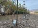 This property features an established vineyard with a mountain view, ready for grape cultivation at 7230 Fresh Harvest Ave, Las Vegas, NV 89131