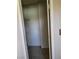 Walk-in closet with shelves and carpet at 745 Greenbriar Townhouse Way, Las Vegas, NV 89121