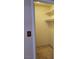 Walk-in closet with shelves and carpet at 745 Greenbriar Townhouse Way, Las Vegas, NV 89121