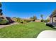 Backyard with artificial turf, desert landscaping, and a covered patio at 8204 Turbys Treehouse Pl, Las Vegas, NV 89131