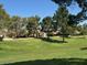 View of greenbelt surrounded by mature trees and residences, offering a serene environment at 3104 Birch Grove Ct, Las Vegas, NV 89134