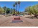 Spacious backyard with landscaping, including palm trees at 4542 Amber Canyon Ln, Las Vegas, NV 89129