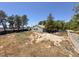 Large, undeveloped backyard with mature trees and vegetation, offering ample space for customization and outdoor activities at 5008 Donnie Ave, Las Vegas, NV 89130