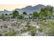 Beautiful view of the community with walking path and mountain views at 713 Chase Tree St, Las Vegas, NV 89144