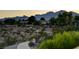 View of the community showcasing walking paths, desert landscaping, and mountain views at 713 Chase Tree St, Las Vegas, NV 89144