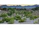 Picture of the community with walking paths, desert landscaping, and views of the mountains in the background at 713 Chase Tree St, Las Vegas, NV 89144