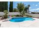 Private pool area with a diving board, surrounded by mature trees and a concrete patio at 8113 Blue Cascade Ave, Las Vegas, NV 89128