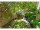 Green backyard surrounded by mature trees and a patio, creating a peaceful outdoor space at 151 Duckhook Ave, Las Vegas, NV 89148