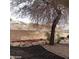 Landscaped backyard featuring rock accents, mulch, and a view beyond a decorative metal fence at 1652 Black Fox Canyon Rd, Henderson, NV 89052