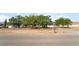 Charming single-story home with mature trees and a well-maintained front yard at 2230 Wagon Ave, Pahrump, NV 89048