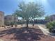 Community tennis court surrounded by mature trees and landscaping at 4230 Gannet Cir # 216, Las Vegas, NV 89103