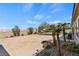 Spacious backyard with easy to maintain desert landscaping and palm trees at 9240 Northfield Park Ct, Las Vegas, NV 89148