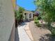 Landscaped front yard featuring drought-tolerant plants and a stone pathway leading to the entrance at 13 Desert Dawn Ln, Henderson, NV 89074