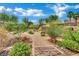 Picturesque backyard garden with a stone path and lush landscaping at 15 Imposing Knoll Ave, Henderson, NV 89002