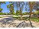 Spacious area with mature trees for livestock on horse property at 2770 La Casita Ave, Las Vegas, NV 89120