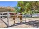 Horse standing in a corral on a horse property with fencing and mature trees at 2770 La Casita Ave, Las Vegas, NV 89120