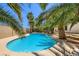 Private pool featuring curved design and plenty of lush tropical trees for shade at 2770 La Casita Ave, Las Vegas, NV 89120