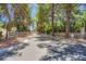 Scenic street view features mature trees leading to Sierra Vista Ranchos with charming white picket fence at 2770 La Casita Ave, Las Vegas, NV 89120