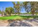 Open yard featuring playground, horse-riding corral, mature landscaping, and green lawns on a sunny day at 2770 La Casita Ave, Las Vegas, NV 89120