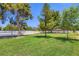 Expansive and manicured backyard featuring lush green grass and mature shade trees under a clear blue sky at 2770 La Casita Ave, Las Vegas, NV 89120