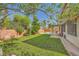 Lush backyard features a well-maintained lawn, mature trees, pool, and outdoor seating area at 3624 Snowy Pines St, Las Vegas, NV 89147