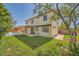 Expansive backyard with lush lawn, pool, and patio, perfect for outdoor entertaining at 3624 Snowy Pines St, Las Vegas, NV 89147
