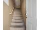 Carpeted staircase with a secure door and a handrail for safety and accessibility at 5855 Valley Dr # 2130, North Las Vegas, NV 89031