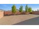 A large backyard with desert landscaping, a brick wall, and young, leafy trees at 5953 Yellow Ridge Ave, Las Vegas, NV 89131