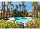 Inviting community pool surrounded by lush landscaping and tall palm trees at 2925 Wigwam Pkwy # 1124, Henderson, NV 89074